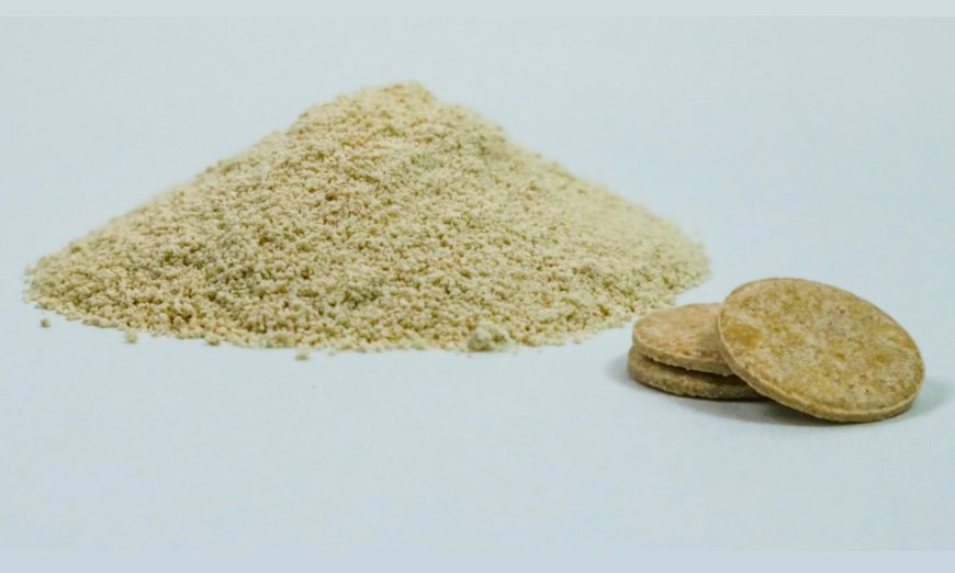 bioinseticida